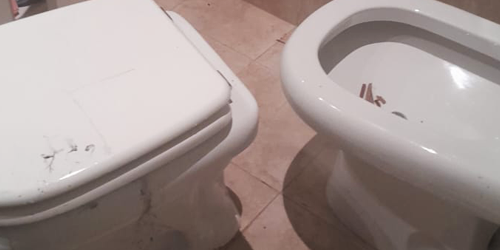 Baño y cloacas